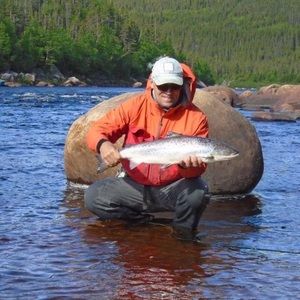 Meet your Posher, Steve